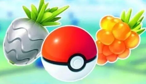 gather resources for city safari