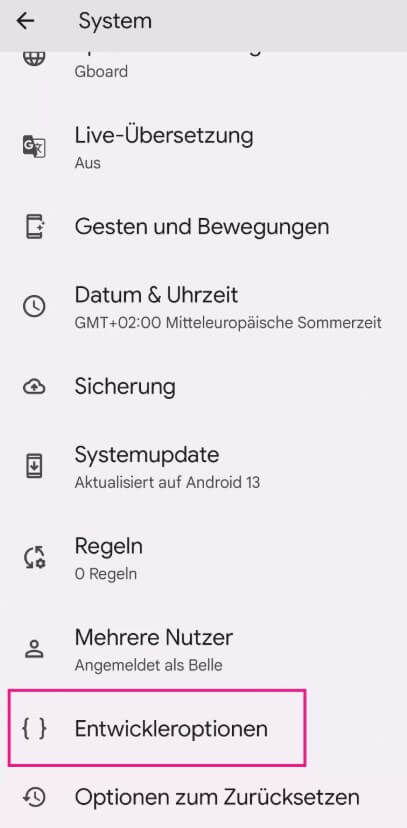 entwickleroptionen korrekt einstellen