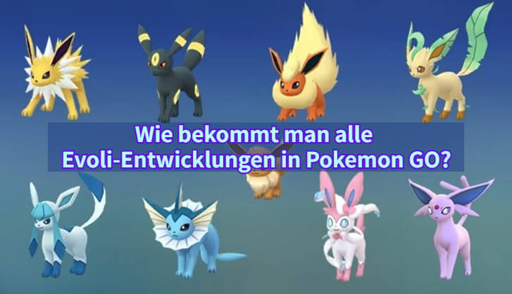 evoli entwicklungen