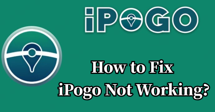 ipogo not working