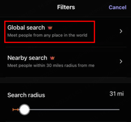 global search on hily