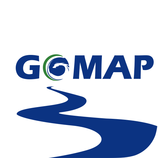 go map