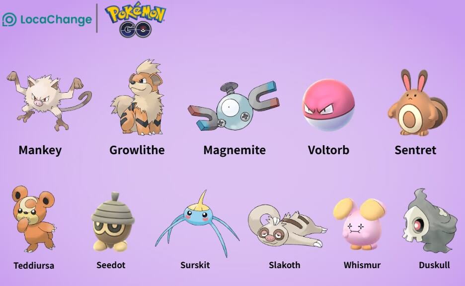 ditto disguises