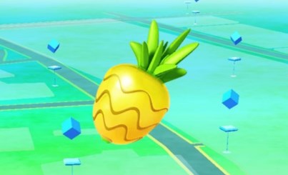 pinap barries in pokemon go