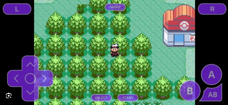 pokemon ruby rare candy cheat