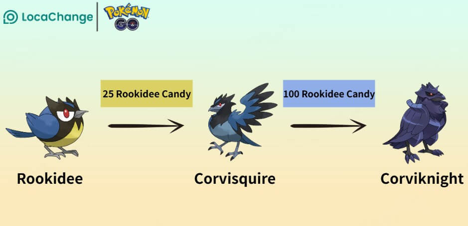 rookidee evolution