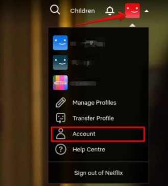 share netflix accounts