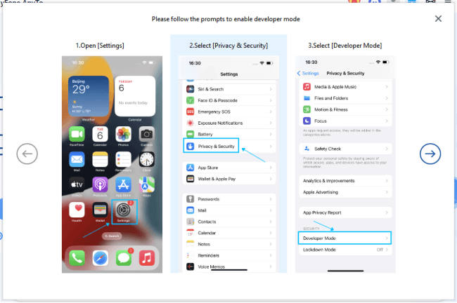 enable developer mode