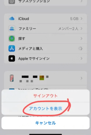 「アカウントを表示」をタップ