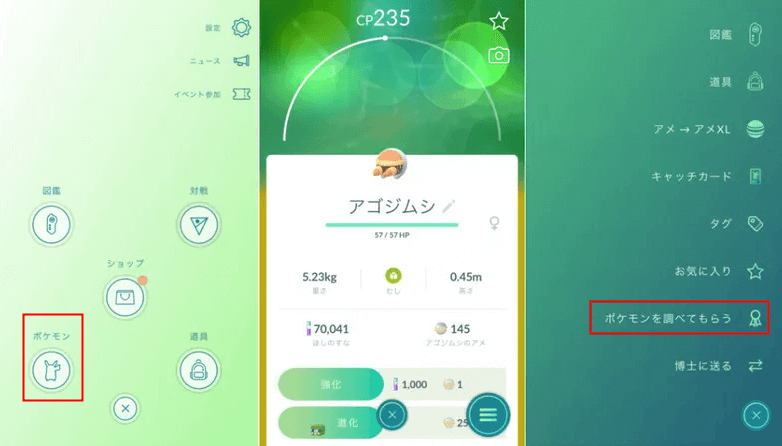 強いポケモン個体値を確認する方法