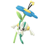 ポケモン go アオガラス