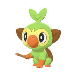 サルノリ コミュニティ デイ