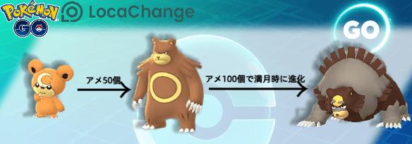 ヒメグマ 進化