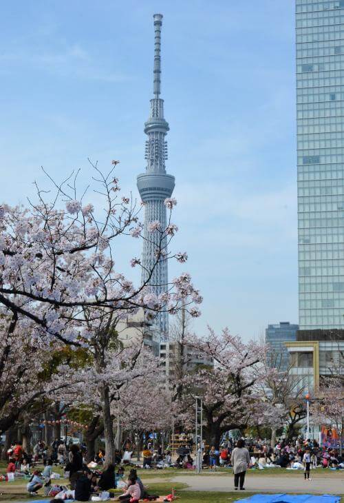 カビゴンが出現する場所 墨田錦糸公園