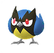 ココガラ
