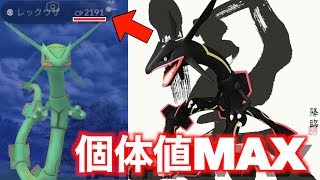ポケモン go レックウザ 個体 値