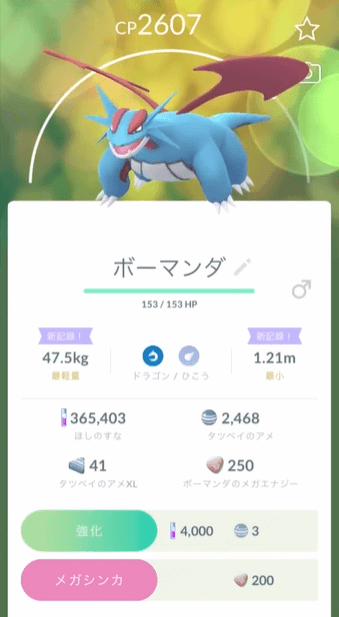 ポケモン go メガ ボーマンダ 個体 値