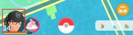 ポケモン go レベル 見方