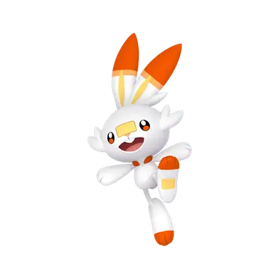 ヒバニー コミュニティ デイ