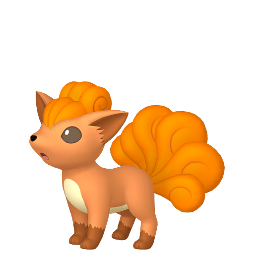 ロコン コミュニティ デイ