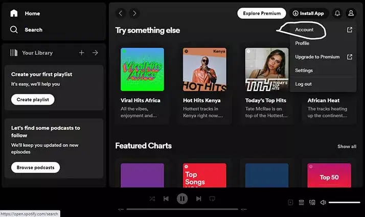 選擇 spotify 賬號
  