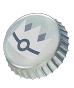 寶可夢道具 銀色王冠