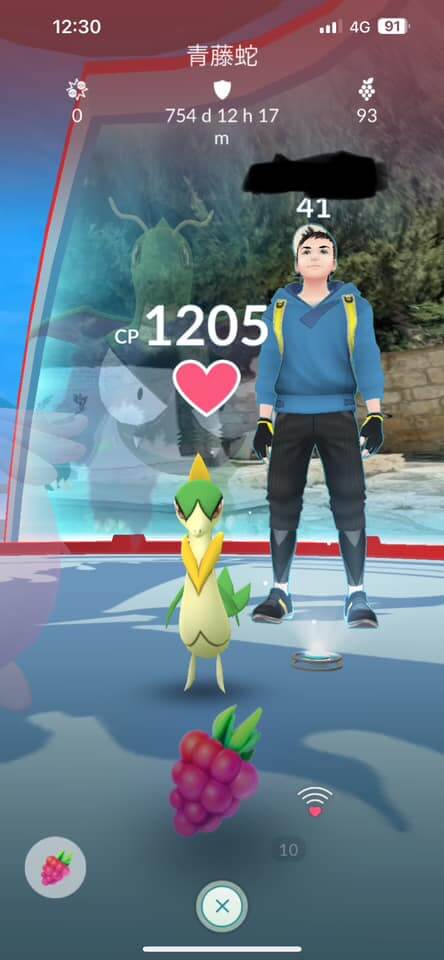 道館駐守寶可夢時間