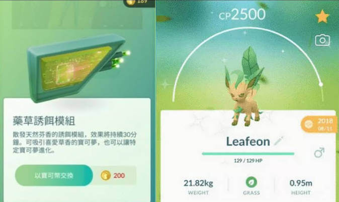 藥草模組進化葉伊布